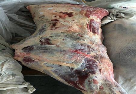 澳大利亚牛肉进口配额申请流程