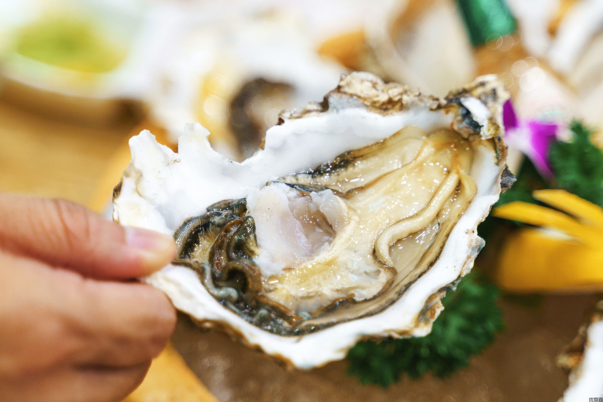 生蚝进口报关代理：优鼎嘉为鲜美生蚝保驾护航  