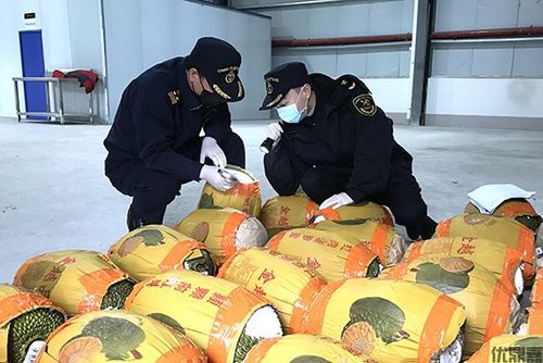菠萝蜜进口清关全要素指南