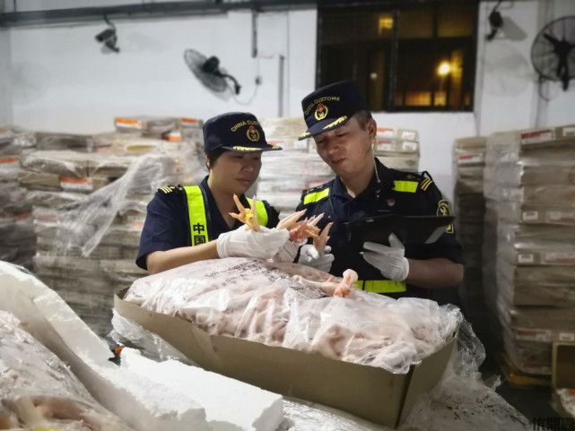 宁波鸡爪进口报关找谁靠谱？这份避坑指南请