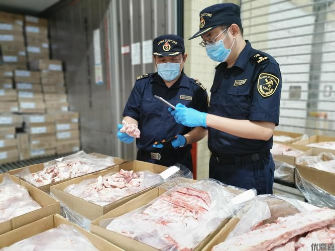 出口报关食品通关加急，全程无忧秒放行
