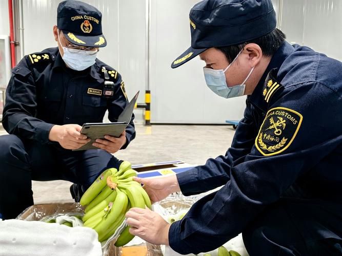 香蕉进口清关必看！5步高效通关攻略