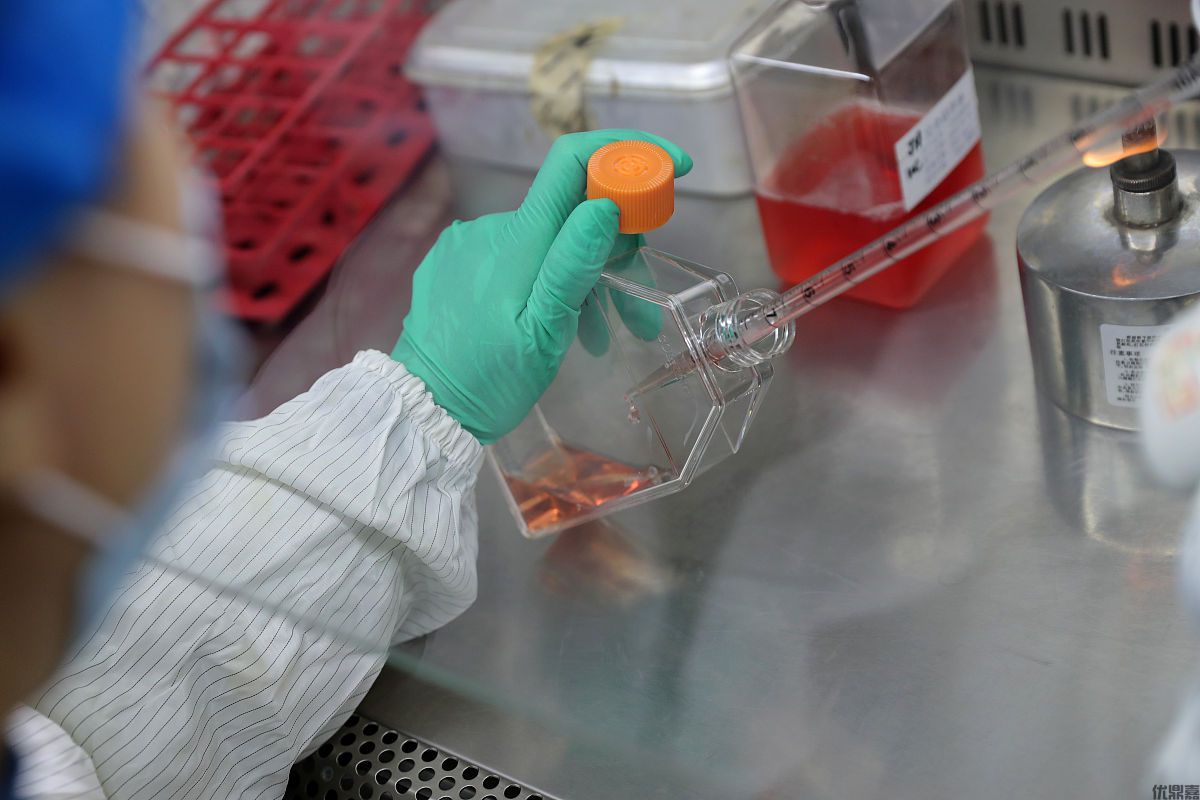 进口清关 进口清关