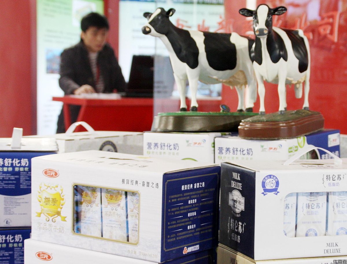 乳制品进口清关代理：保障“乳”此重要的关键环节