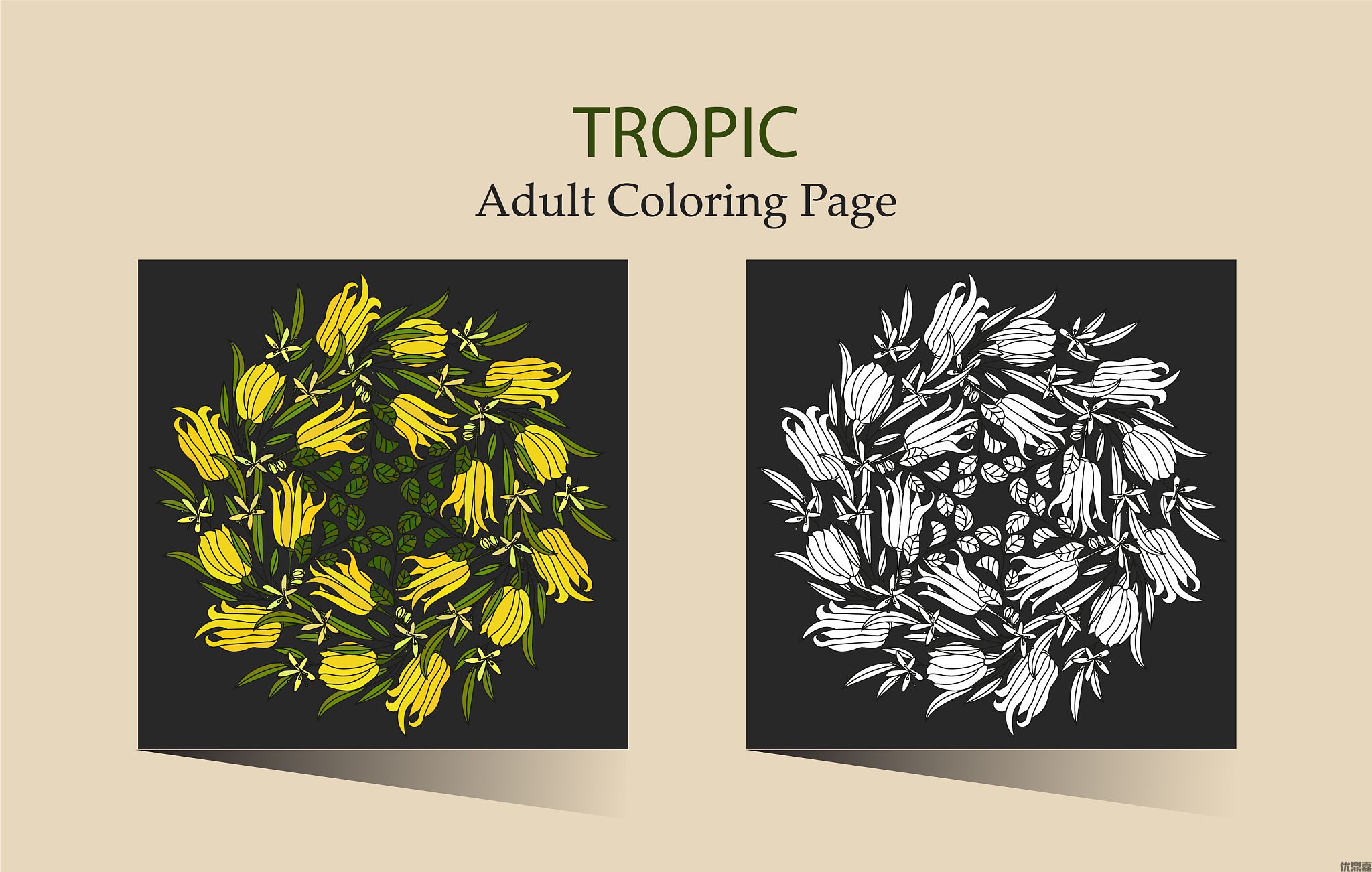 泰国家用装饰品进口代理流程详解