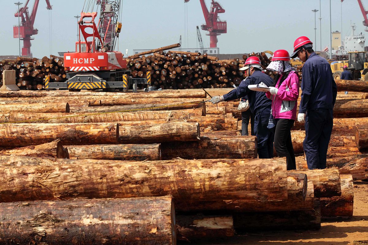 进口木材清关全流程：从资质准备到检疫重点
