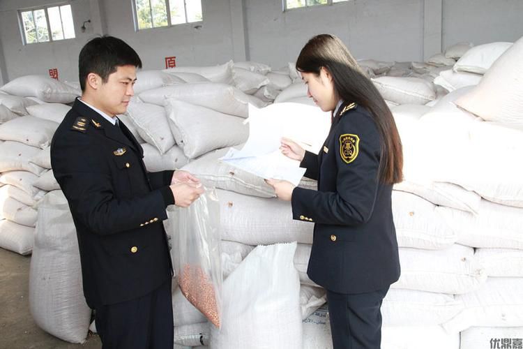 花生出口代理：专业服务的全方位解析