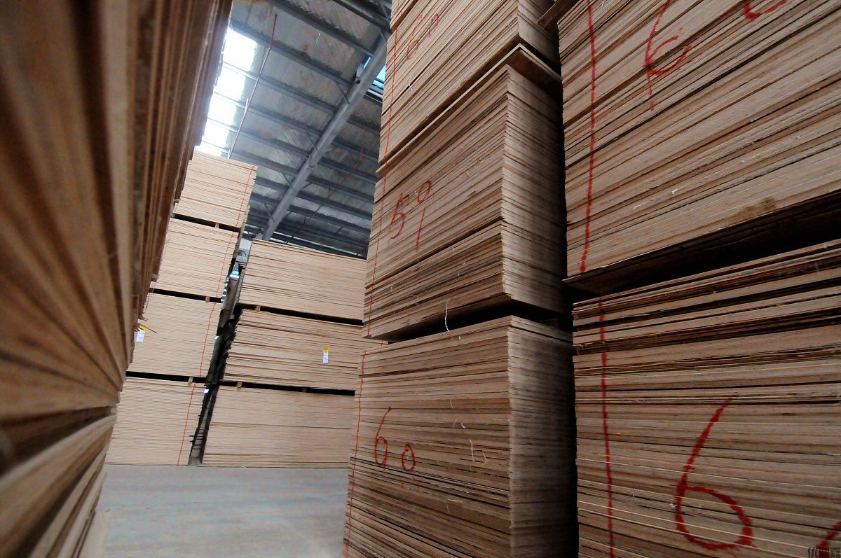 椰棕板进口清关代理：这家公司让贸易畅通无