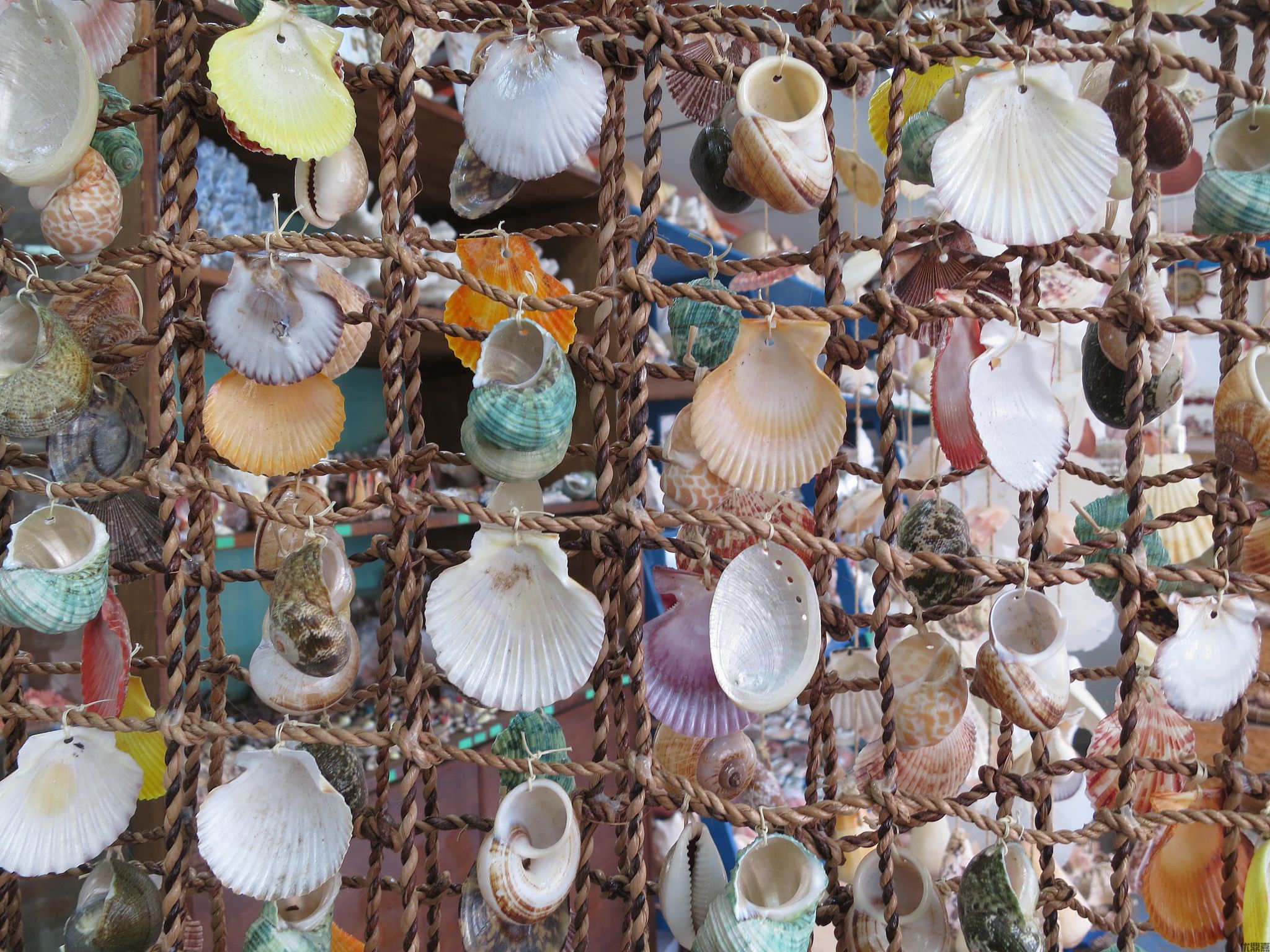 贝壳工艺品出口代理：如何助力“海的礼物”走向全球市场？