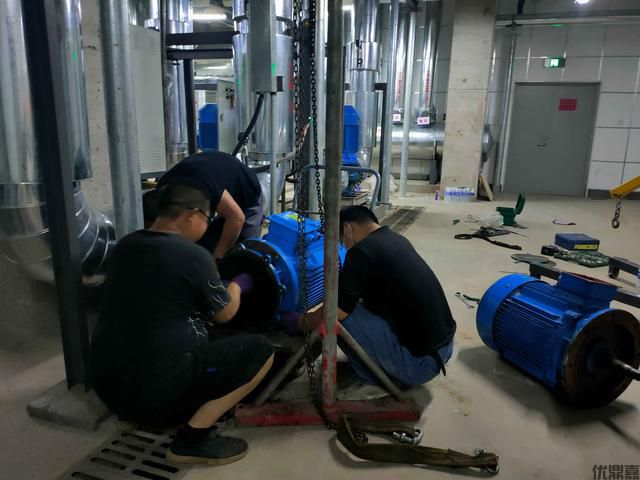 出口返修清关难?深度解读合规路径与代理破局之道