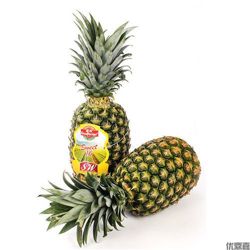 2026年菠萝进口报关全流程解析与关键节点把控
